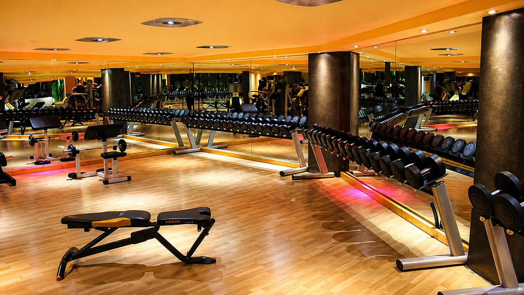 MEGA GYM προπόνηση